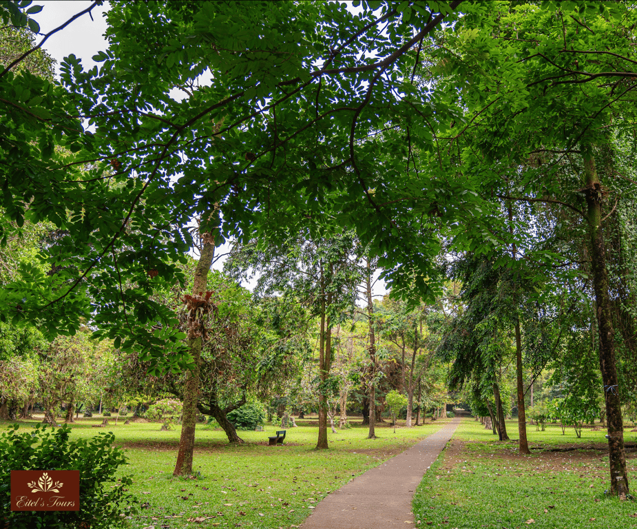 A quieter interlude in Limbe, offering space for reflection and a deeper connection to history.