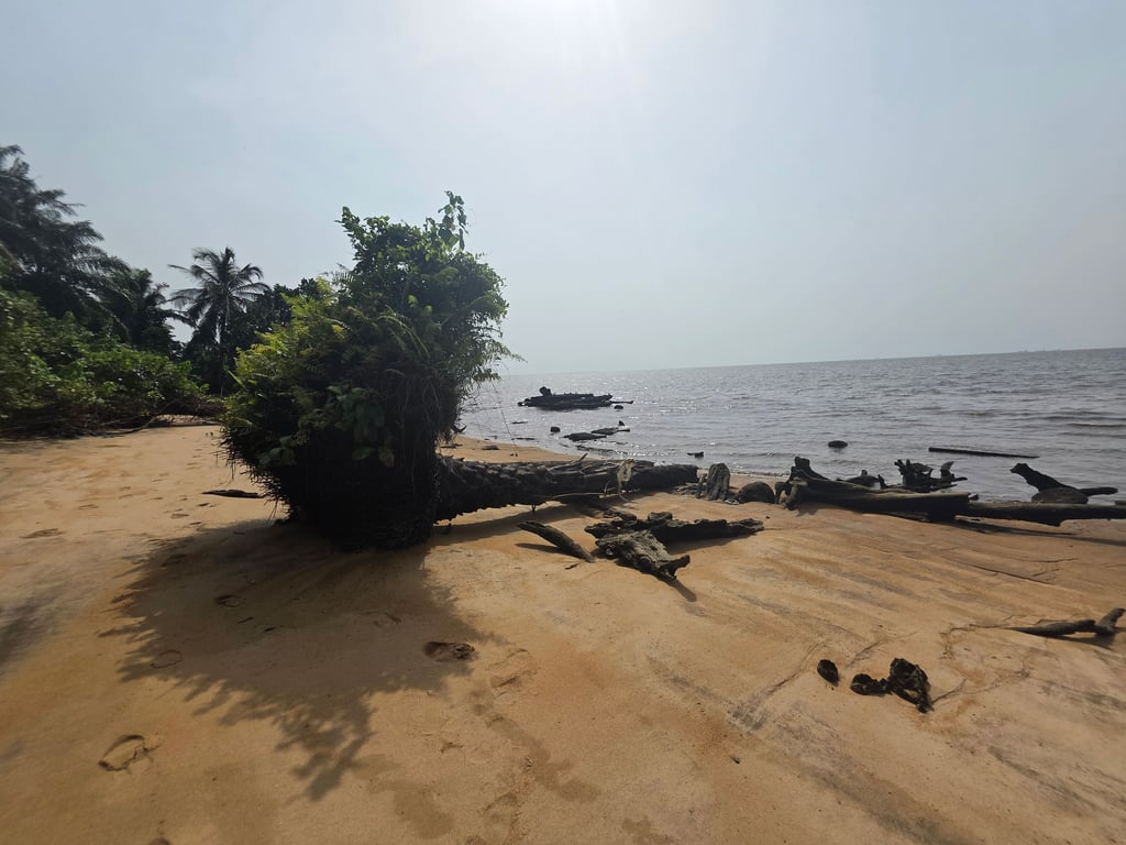 Visit to Manoka Island.