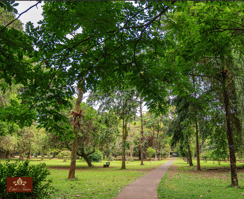 Kribi landscape