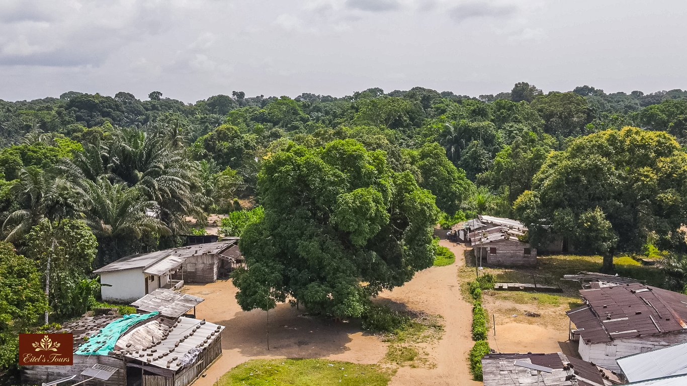 Accessible only by water, this island sanctuary offers an ultimate escape from the world. A realm of untouched mangroves, absolute stillness, and coastal secrets where the journey transforms into a true exploration of the pristine.